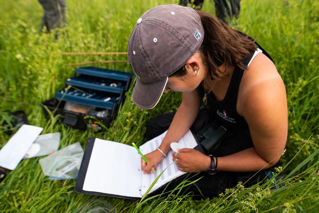 Environmental Studies 4+1 B.S./M.S. | University Of New England In Maine