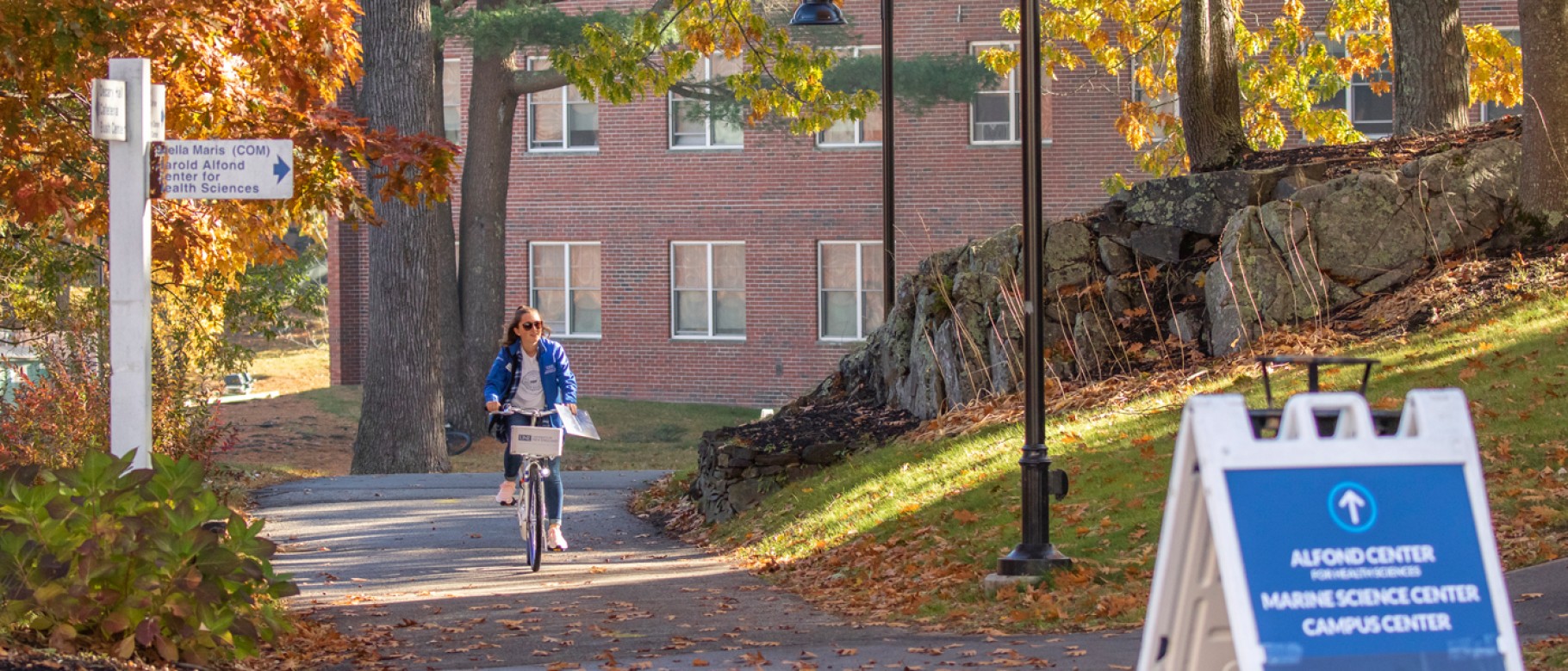 A student rides a bike through U N E's Biddeford campus during fall