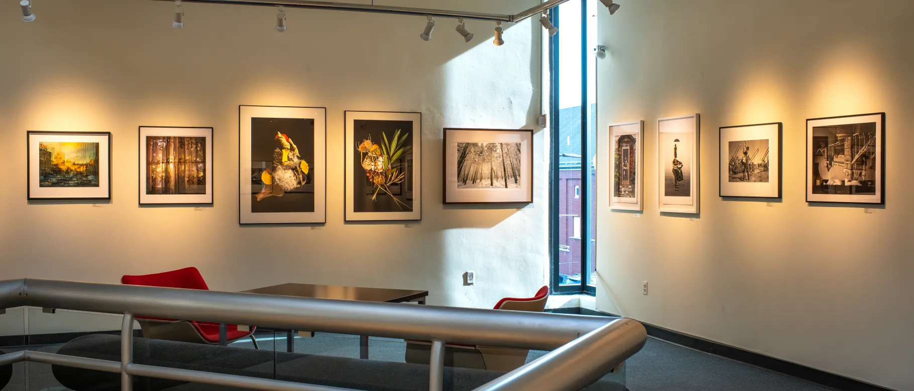 Photos are displayed against a white art gallery wall 