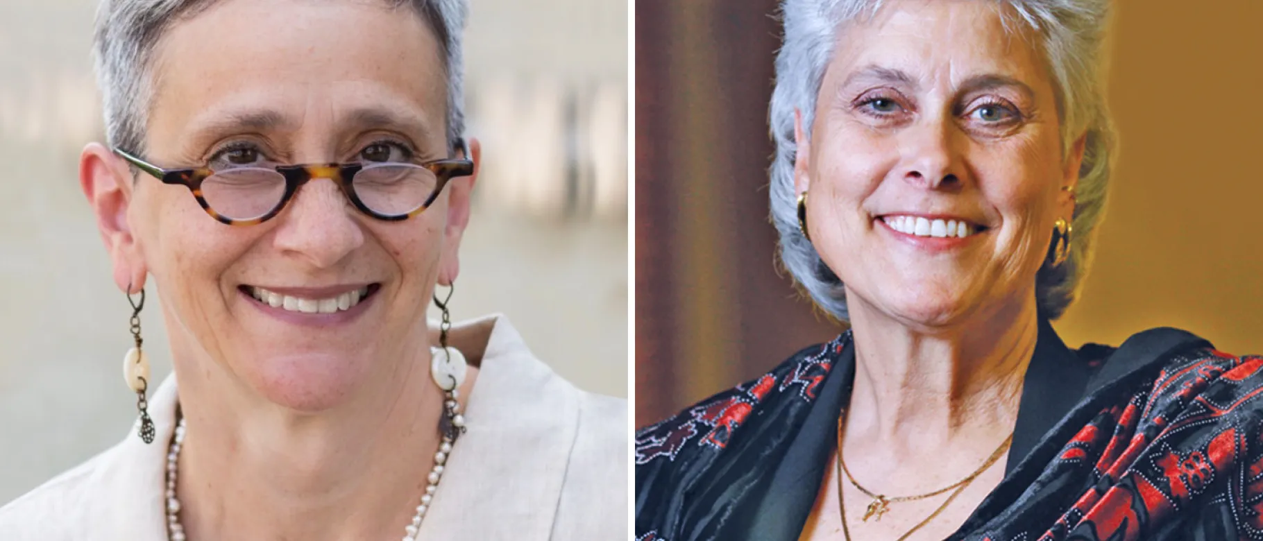 Mary Lou Ciolfi and Marilyn R. Gugliucci authored chapters in a new book on social isolation