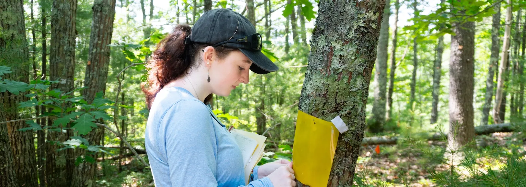 Kaleigh Potter insect research