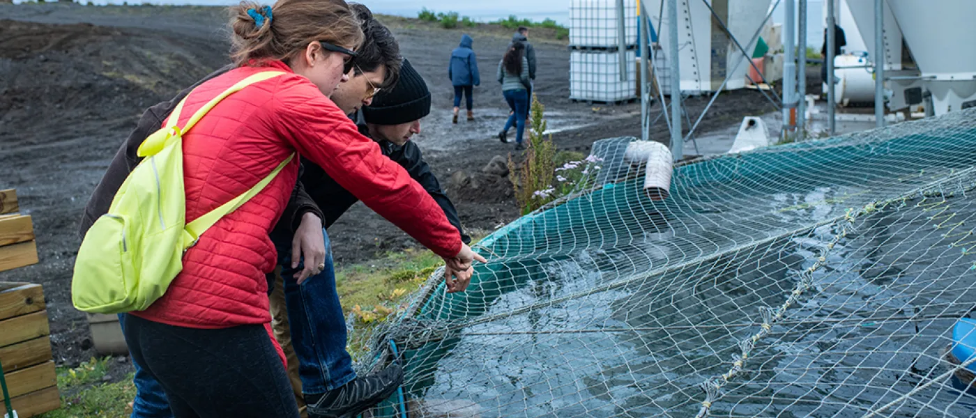 Two U N E students examine an outdoor aquaculture tank