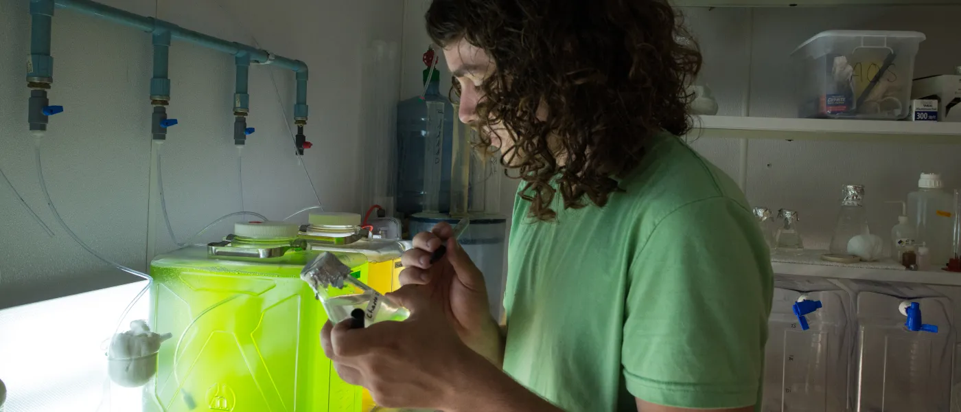 A U N E student works in a lab