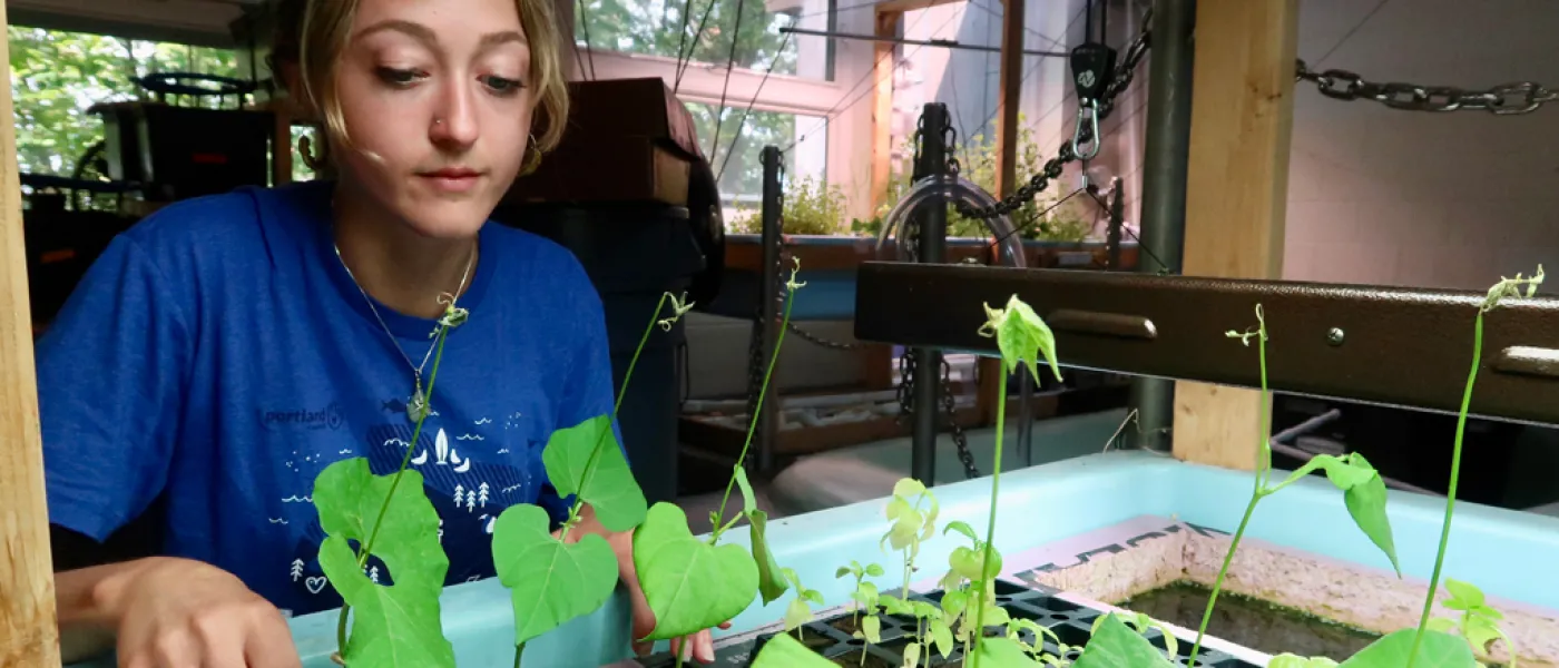 An Aquaculture student viewing their growing plants