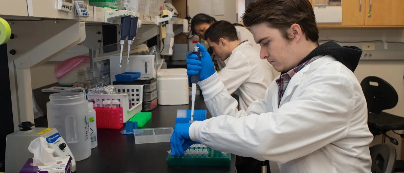 A row of students working on a lab