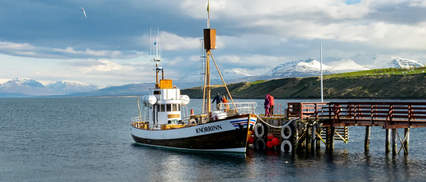 Iceland Natural History Travel Course