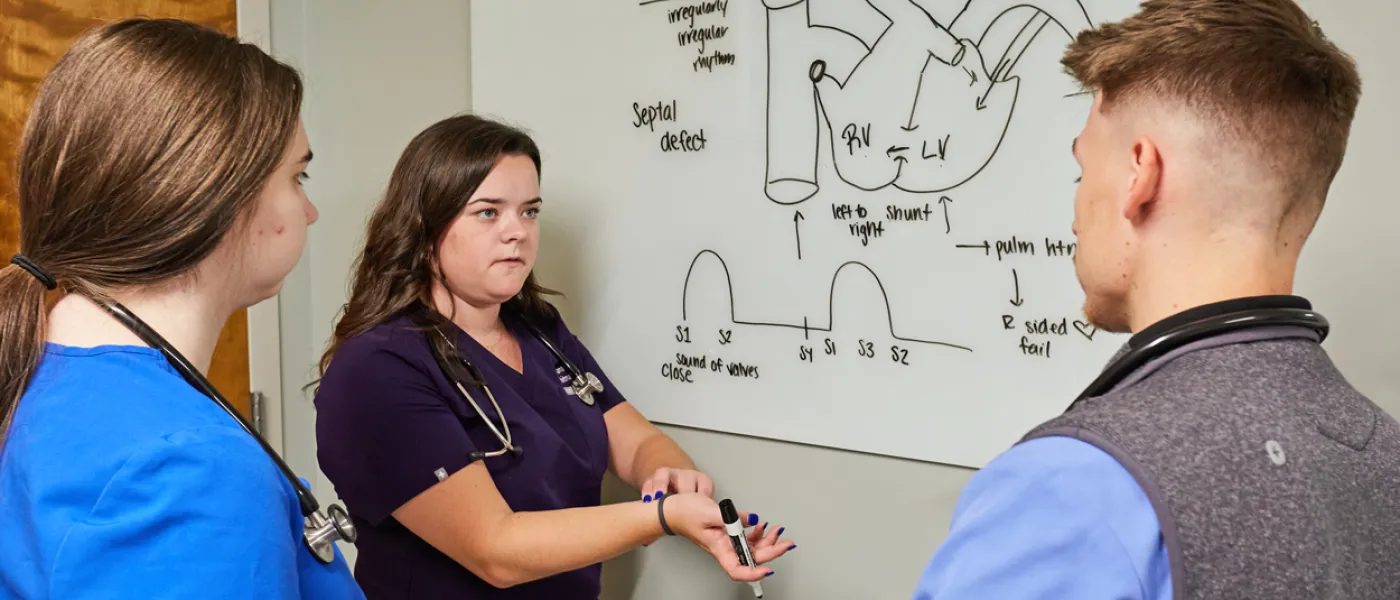 Three P A students review a cardiac sounds diagram on a whiteboard