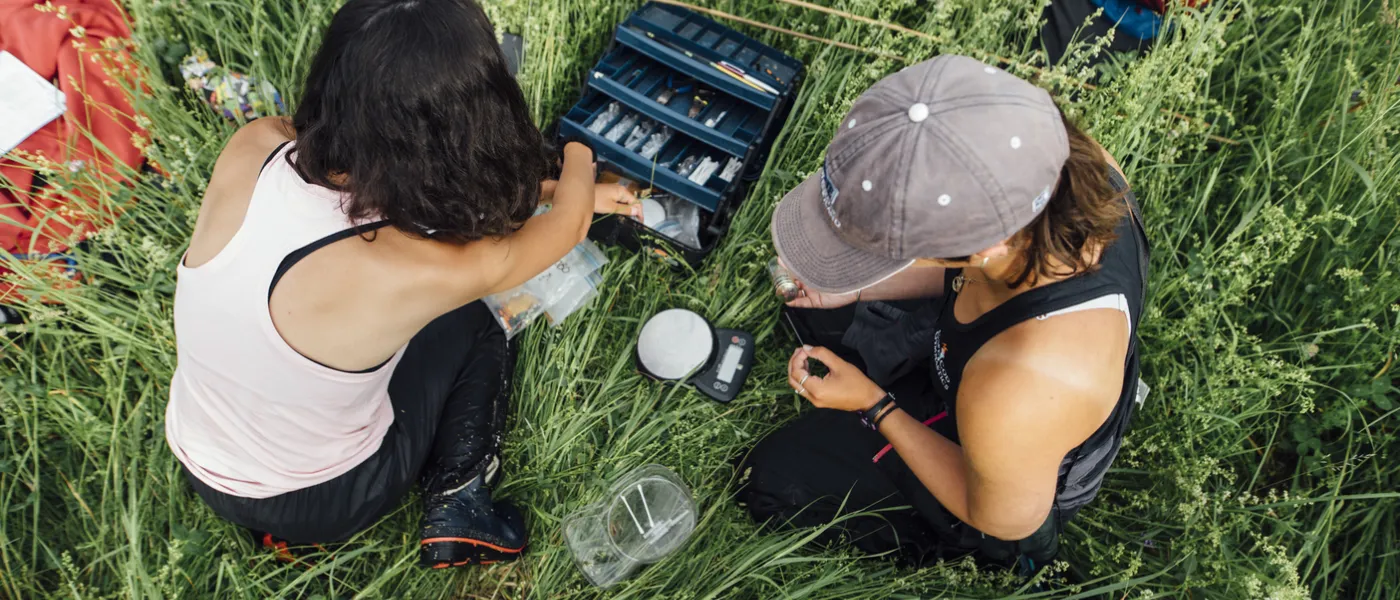 Aerial shot of researchers studying bobolinks in Vermont