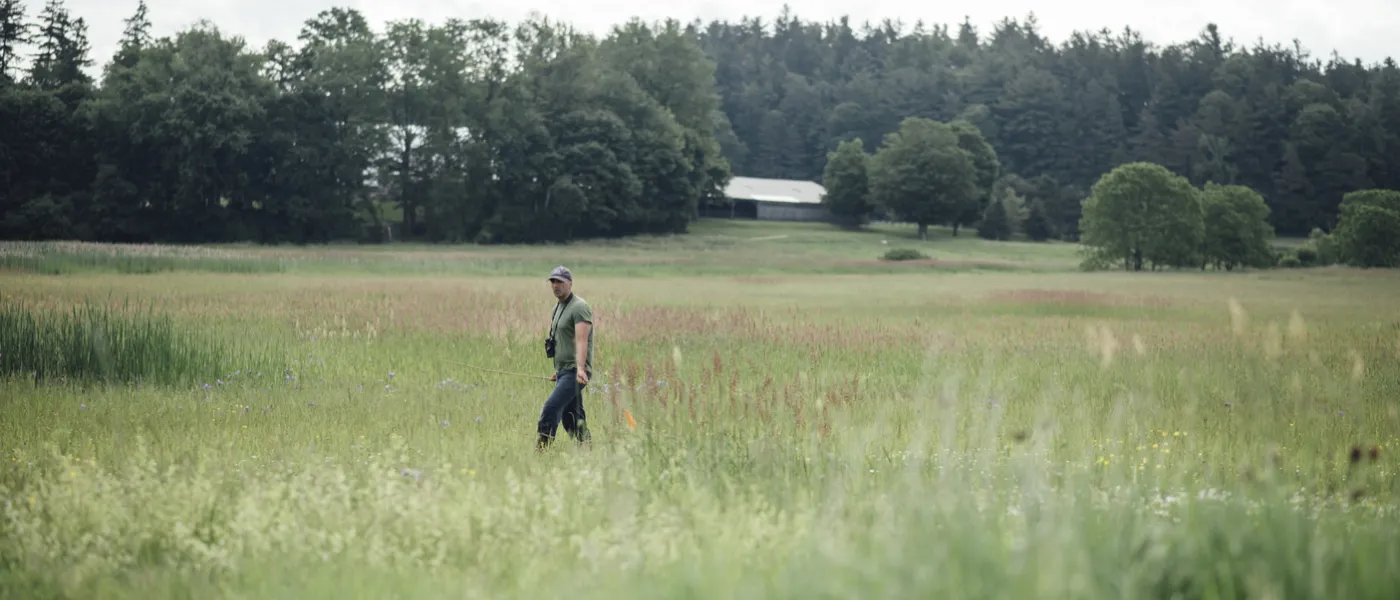 U N E Professor Noah Perlut walks through a grassy field in Vermont