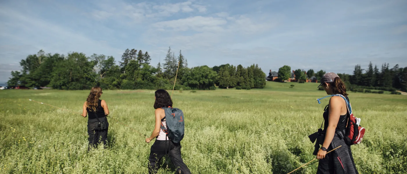 Student researchers walk through the grassy field in Vermont