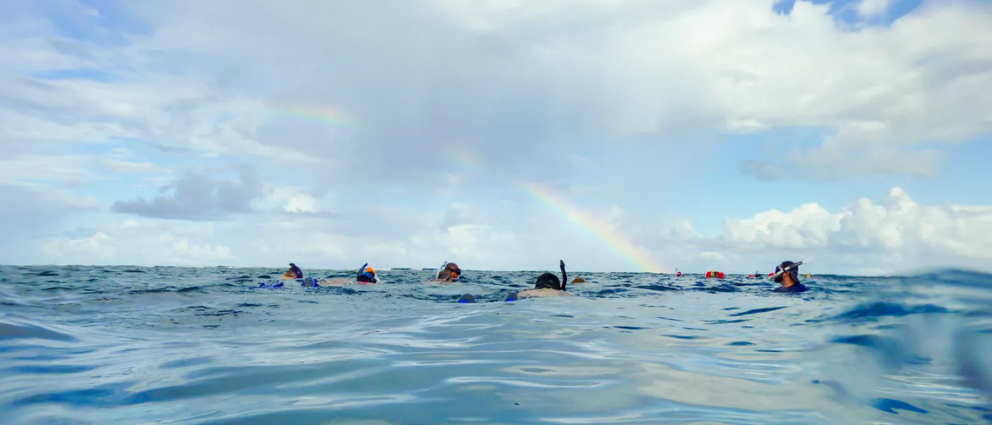 Snorkeling in Belize on the Surface Under a Rainbow