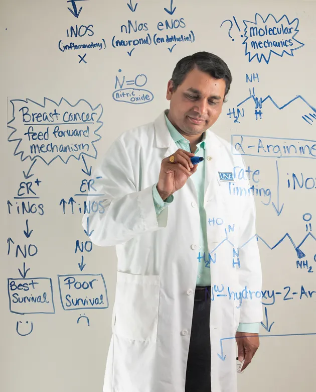 U N E faculty member and researcher Sri Mohan, Ph.D., writing on a transparent board surrounded by his research