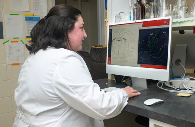 A student reviews a research project on their computer screen