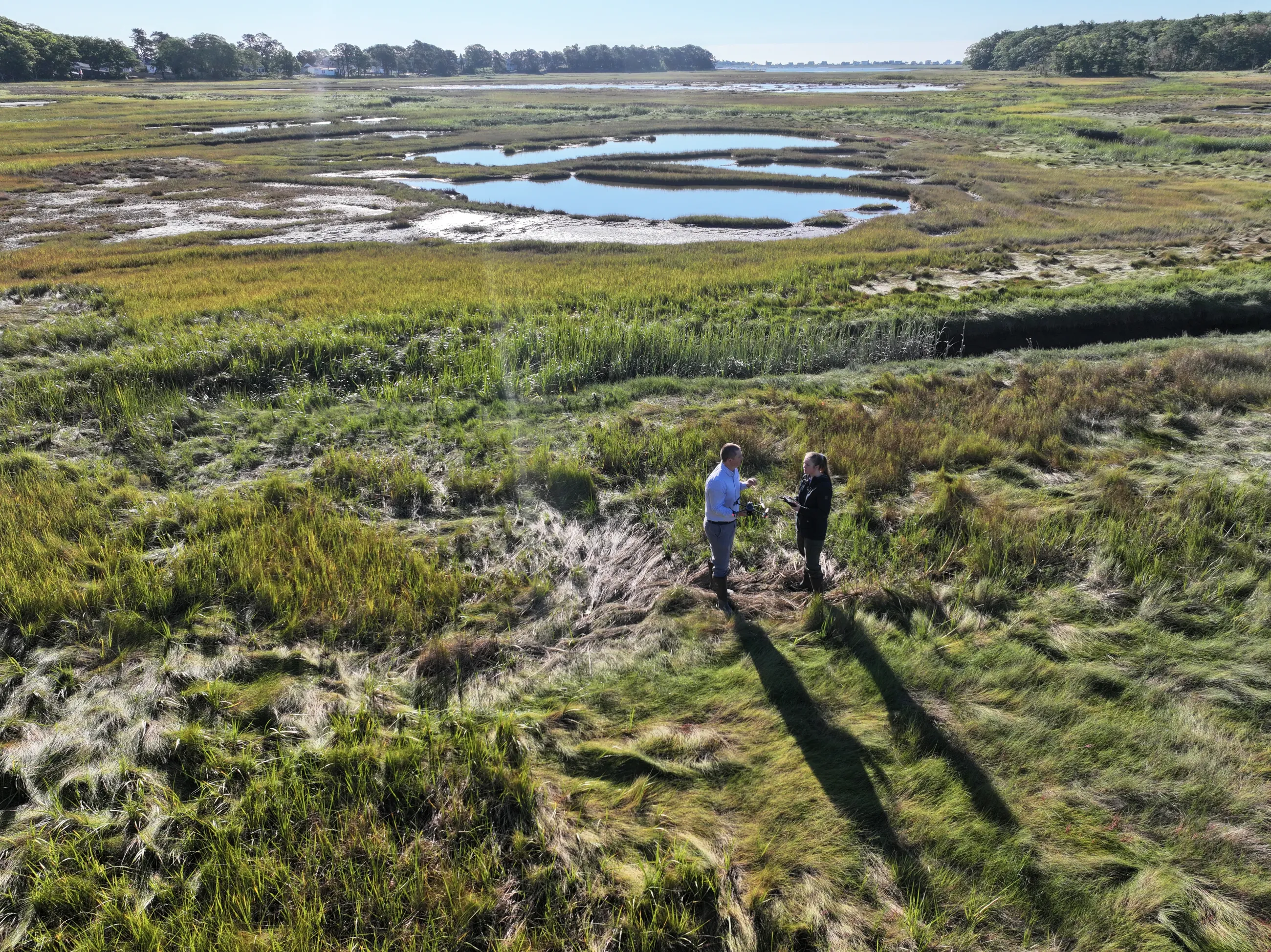 Katie DeWater and Will Kotchtitzky surveying megapools in a marsh next to the U N E Biddeford Campus.