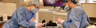 Dental students perform cleanings for children at the Oral Health Center's dental clinic