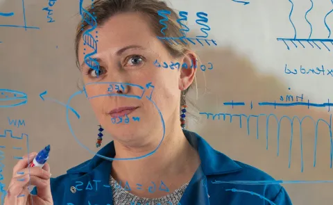 UNE's Eva Rose Balog writes down research notes on a clear whiteboard