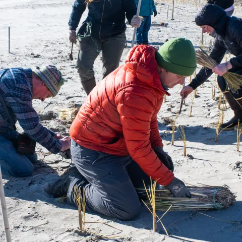 UNE students aid Biddeford Pool Conservation Trust in coastal restoration effort     