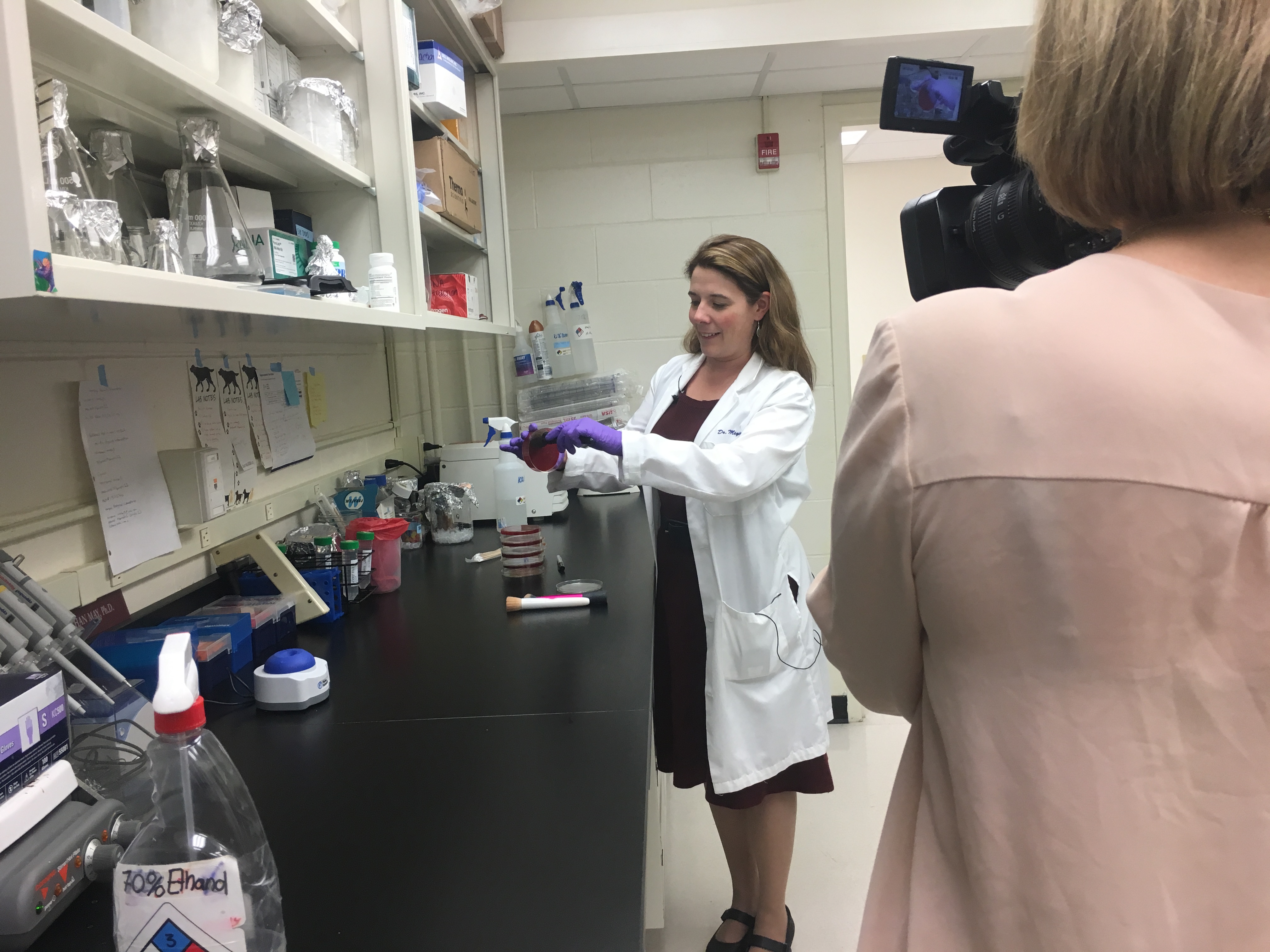 WCSH turns to UNE to learn what types of bacteria can grow on makeup ...